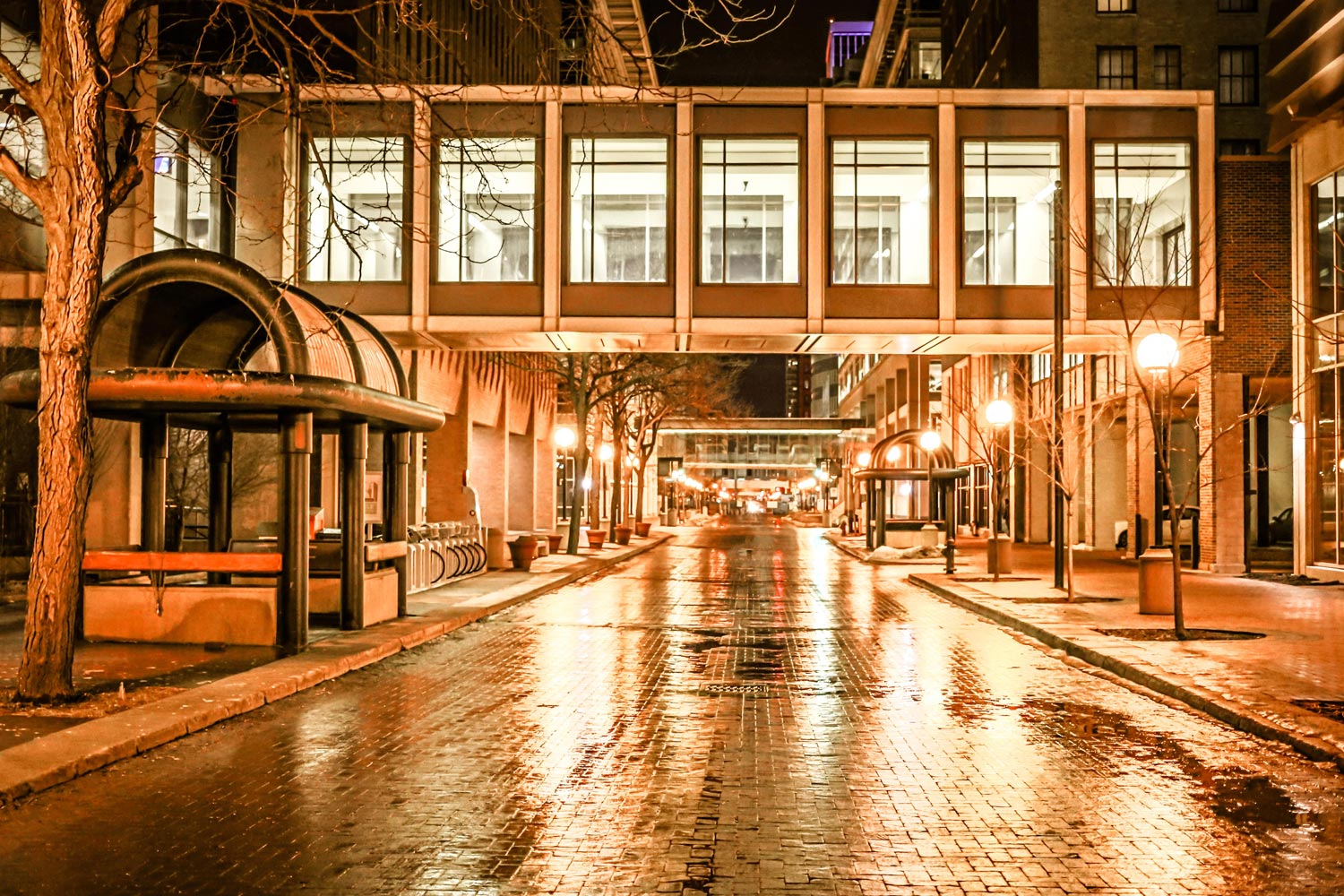 Walnut Street Transit Mall